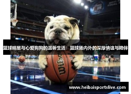 篮球明星与心爱狗狗的温馨生活：篮球场内外的深厚情谊与陪伴