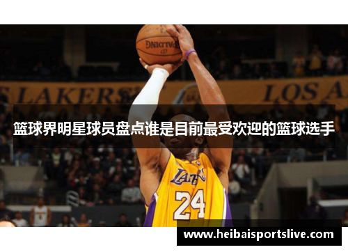 篮球界明星球员盘点谁是目前最受欢迎的篮球选手